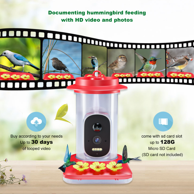 Last Day Sale 🔥85% OFF 🐦Bird Feeder & 🔥Hummingbird feeding