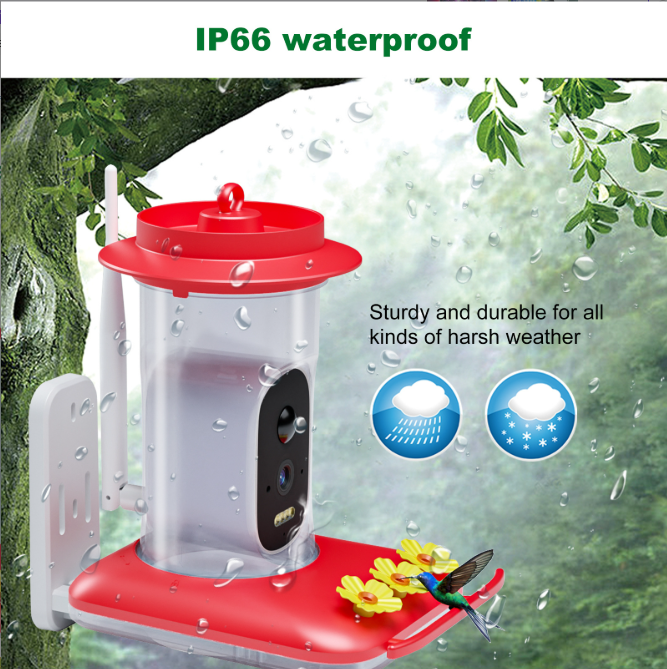 Last Day Sale 🔥85% OFF 🐦Bird Feeder & 🔥Hummingbird feeding
