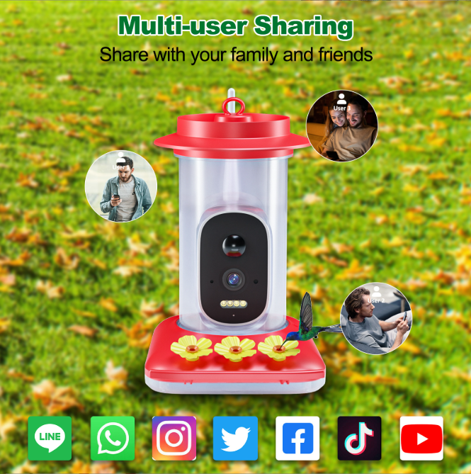 Last Day Sale 🔥85% OFF 🐦Bird Feeder & 🔥Hummingbird feeding
