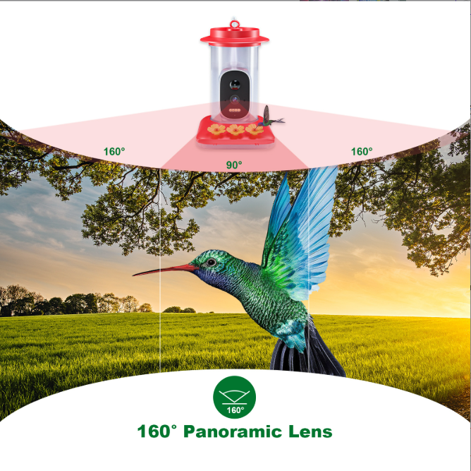 Last Day Sale 🔥85% OFF 🐦Bird Feeder & 🔥Hummingbird feeding