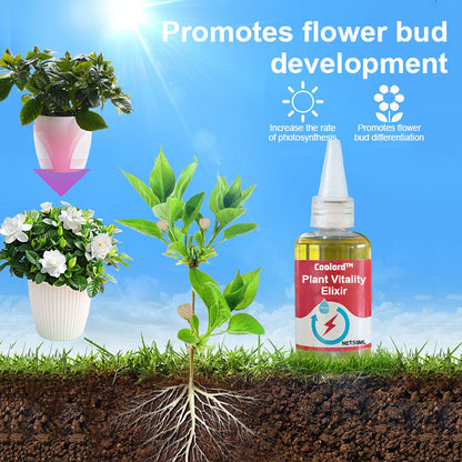 Coolord™ Phytovitamin Solution