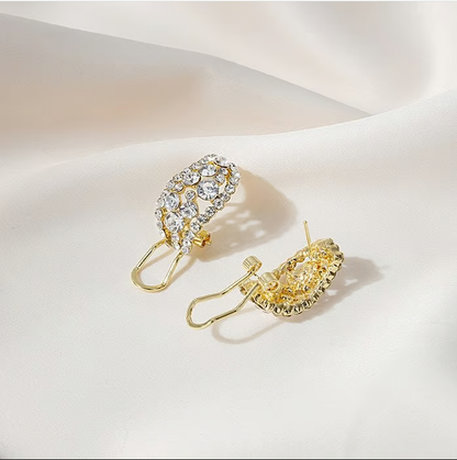 Last Day Sale 🔥85% OFF Lab-Created Diamonds Hoop Earrings🎁Buy 2 Free Shipping
