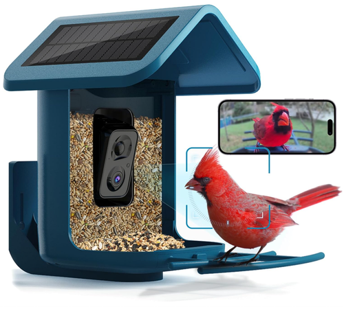 Last Day Sale 🔥85% OFF 🐦Bird Feeder with Camera Solar Powered: Smart Camera Bird Feeder 2K Live Feed Cam for Outdoor Backyard - Ai Identify Auto Capture Bird Videos, 2.4GHz WiFi Bird Camera, Gifts for Birdlover Mom Dad