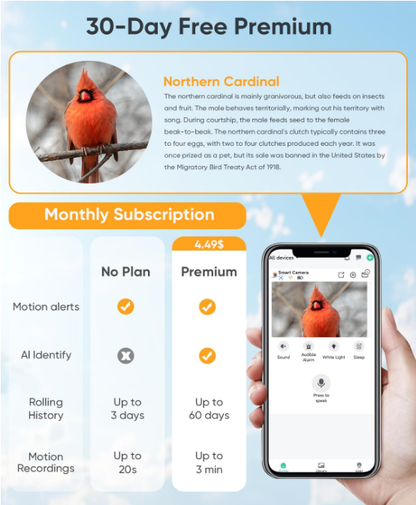Last Day Sale 🔥85% OFF 🐦Bird Feeder with Camera Solar Powered: Smart Camera Bird Feeder 2K Live Feed Cam for Outdoor Backyard - Ai Identify Auto Capture Bird Videos, 2.4GHz WiFi Bird Camera, Gifts for Birdlover Mom Dad